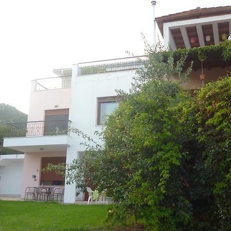 Villa Athina PalaiónTsiflíkion 外观 照片