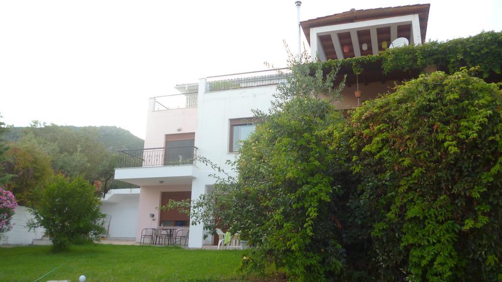 Villa Athina PalaiónTsiflíkion 外观 照片